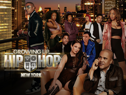 Growing Up Hip Hop New York